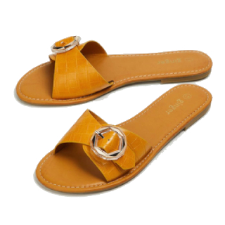 Ginger by Lifestyle Women Brown Solid PU Open Toe Flats at Rs.999